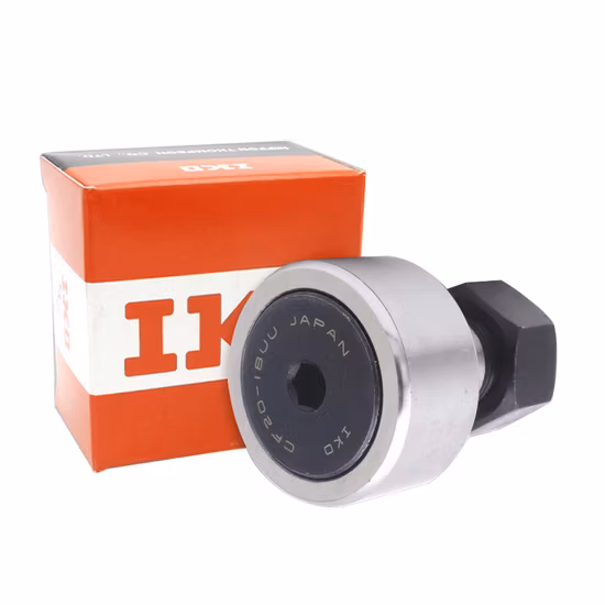 Rolamento linear de plástico sólido de engenharia autolubrificante (RJMP RJUM FJUM FJUMT LM LME LMES LMF LMK SBR SCS)